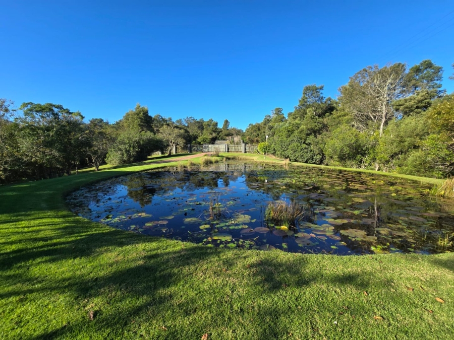 Commercial Property for Sale in Wilderness Heights Western Cape